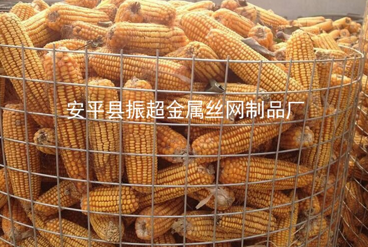 Ȧ׸˿www.apychl.com